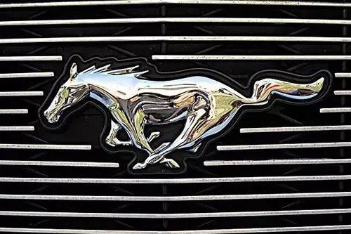 車標上的動物都是啥來頭？看完又能出去裝X了