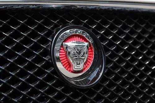 車標上的動物都是啥來頭？看完又能出去裝X了